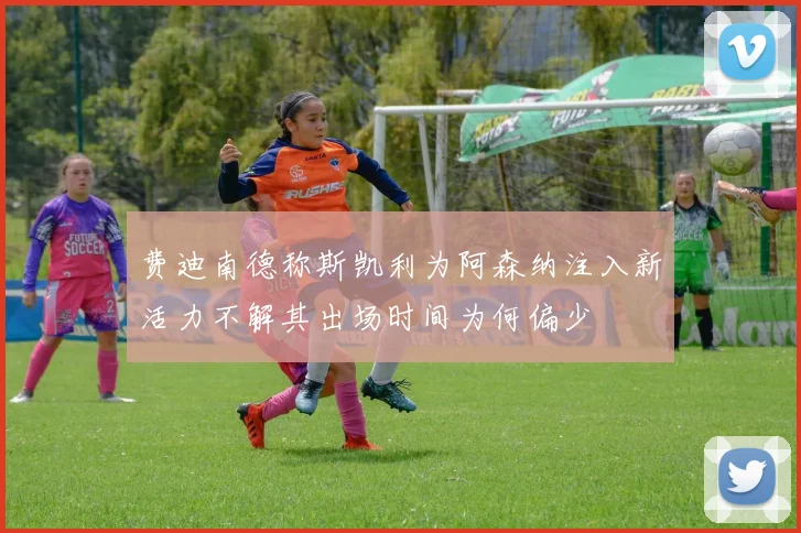 费迪南德称斯凯利为阿森纳注入新活力不解其出场时间为何偏少