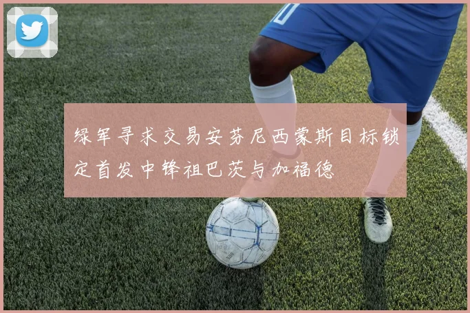 绿军寻求交易安芬尼西蒙斯目标锁定首发中锋祖巴茨与加福德